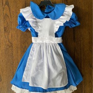 Alice in Wonderland Dress/Costume